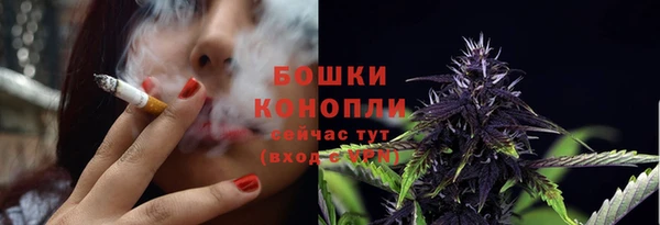 прущие крисы Белокуриха