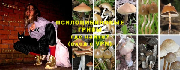 прущие крисы Белокуриха