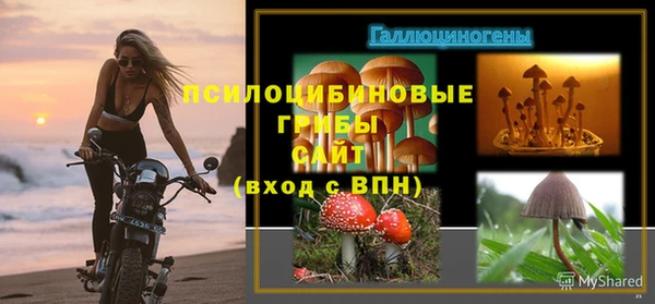 прущие крисы Белокуриха